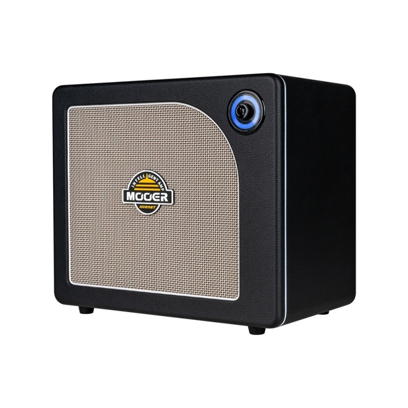 MOOER HORNET 30I (BLACK) Комбоусилитель