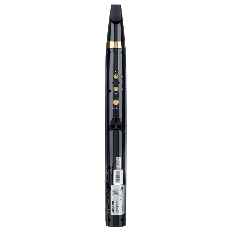 MOOER Wi100 (Черный) Цифровая блок-флейта