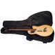 WARWICK RockBass Alien Deluxe, 4-String (Natural Transparent Satin) Бас-гітара
