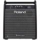 Персональний монітор Roland PM200