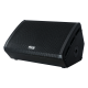 PARK AUDIO SM155-P Активний сценічний монітор