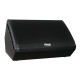 PARK AUDIO SM155-P Активний сценічний монітор