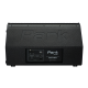 PARK AUDIO SM155-P Активний сценічний монітор