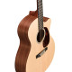 MARTIN GPCX1AE Акустическая гитара