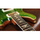 PRS MCM2FNHFIF6A_6-6M Электрогитара