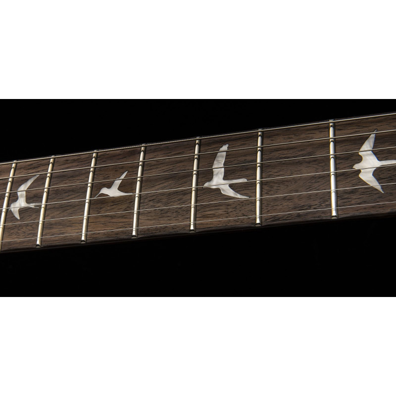 SECU44BG