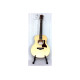 Гітара акустична TAYLOR GUITARS GS MINI
