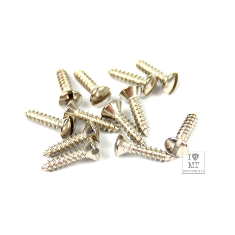 FENDER MOUNTING SCREWS FOR PICKGUARD/CONTROL PLATE '50S ERA TELE Набір гвинтів