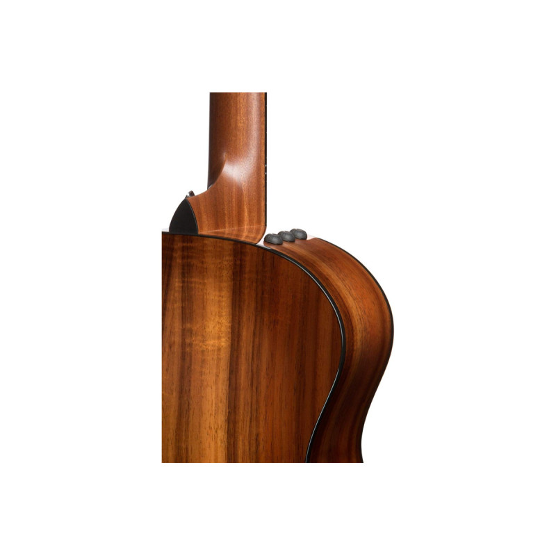 TAYLOR GUITARS 224CE-K DLX Гітара електроакустична