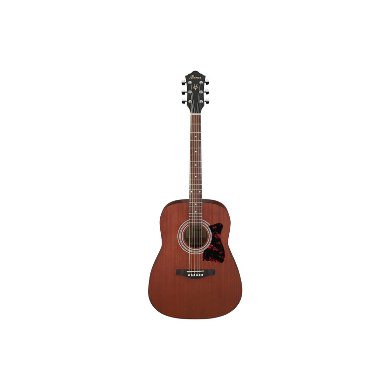 IBANEZ V54NJP Гітарний набір з акустичною гітарою