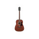 IBANEZ V54NJP Гітарний набір з акустичною гітарою