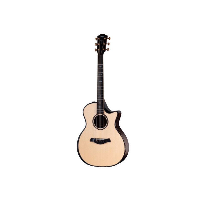 Гітара електроакустична TAYLOR GUITARS 914ce BUILDERS EDITION