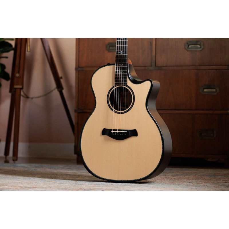 Гітара електроакустична TAYLOR GUITARS 914ce BUILDERS EDITION