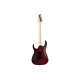 IBANEZ RG470DXW-WZM Електрогітара