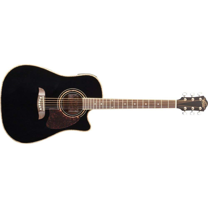 WASHBURN OG2CEB Акустическая гитара