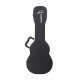 CARPATHIAN Ukulele CASE 26