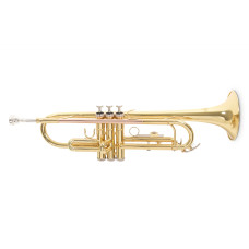 Труба Roy Benson TR-101 Bb-Trumpet