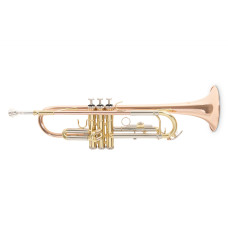 Труба Roy Benson TR-202G Bb-Trumpet