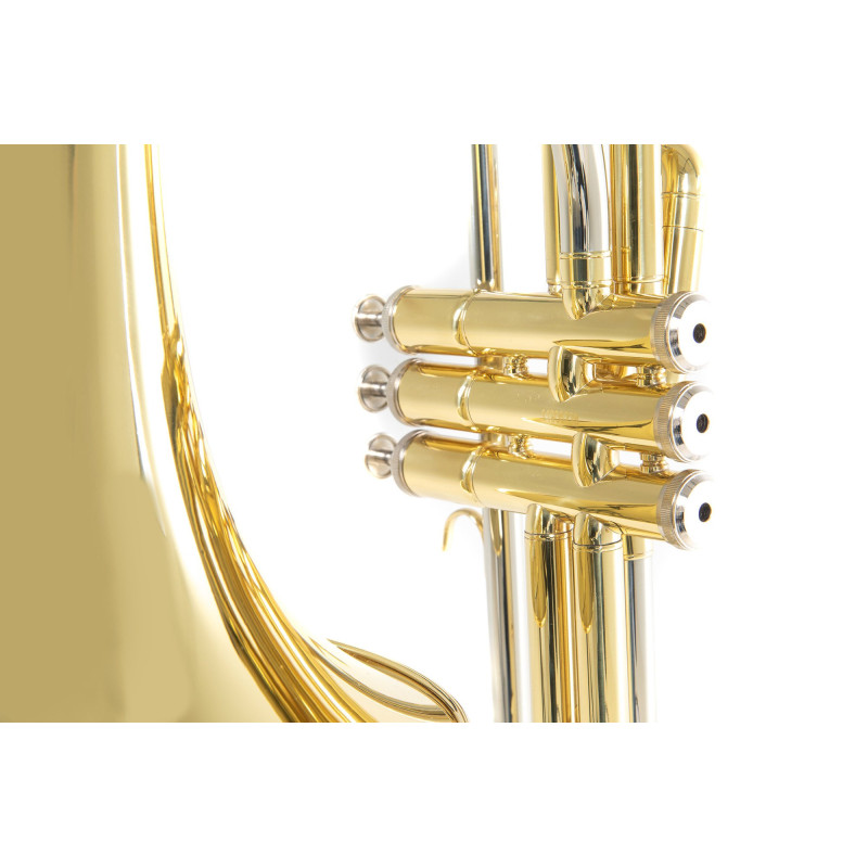 Вентильний тромбон Roy Benson VT-227 Bb-Valve Trombone