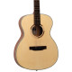 TANGLEWOOD TS3 Акустична гітара