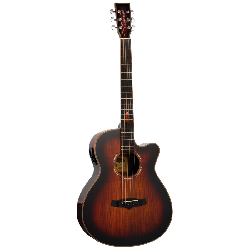 TANGLEWOOD TWX4 CEK Акустическая гитара