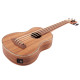 FZONE FZUB-004 Bass Ukulele Укулеле