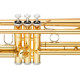 YTR-4335GII