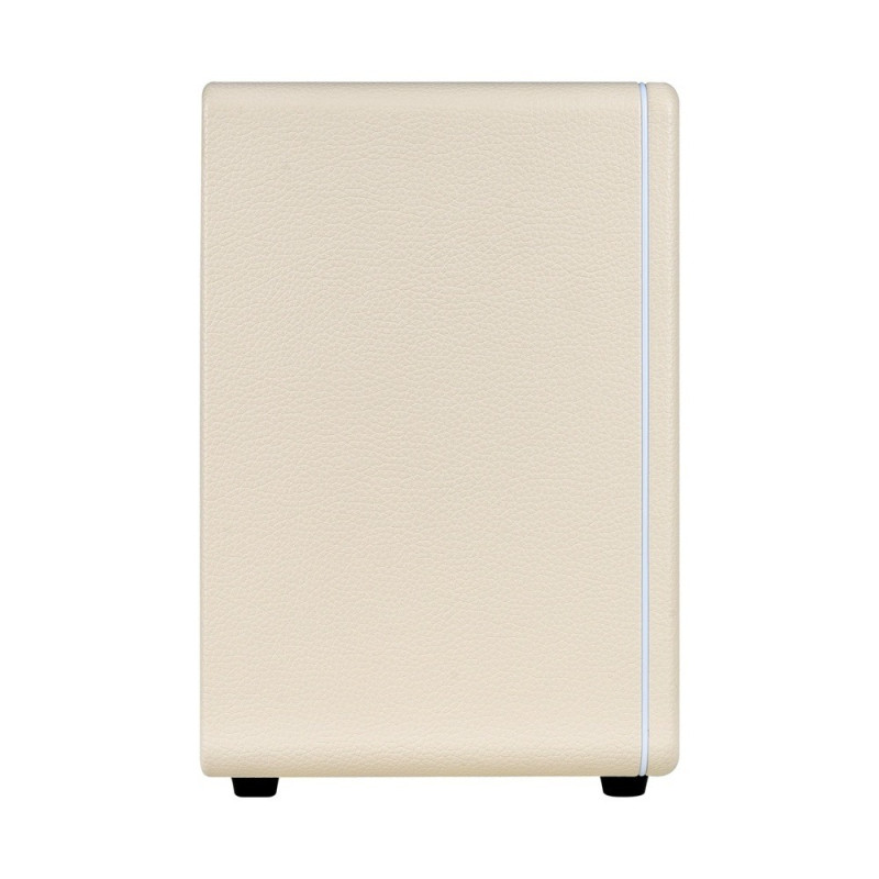 MOOER HORNET 30I (WHITE) Комбоусилитель
