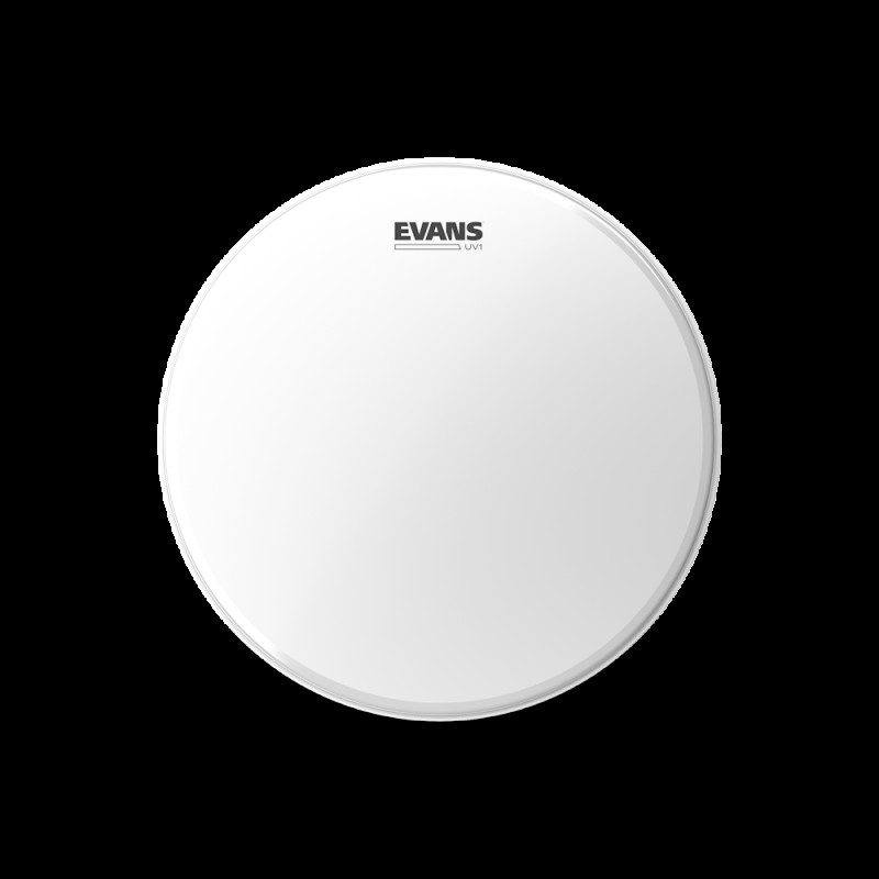 EVANS 16