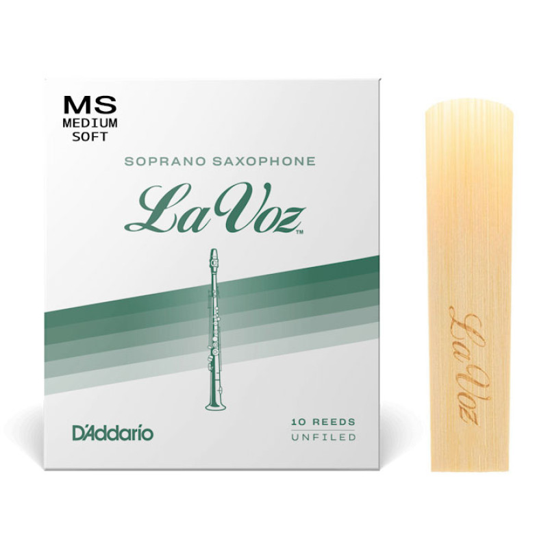 RIC10MS (1шт.)