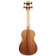 FZONE FZUB-004 Bass Ukulele Укулеле