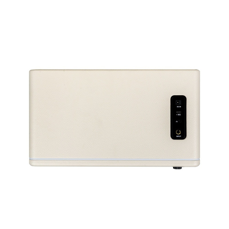 MOOER HORNET 30I (WHITE) Комбоусилитель