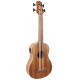 FZONE FZUB-004 Bass Ukulele Укулеле