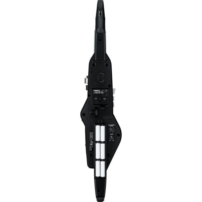 ROLAND AE20 Аерофон