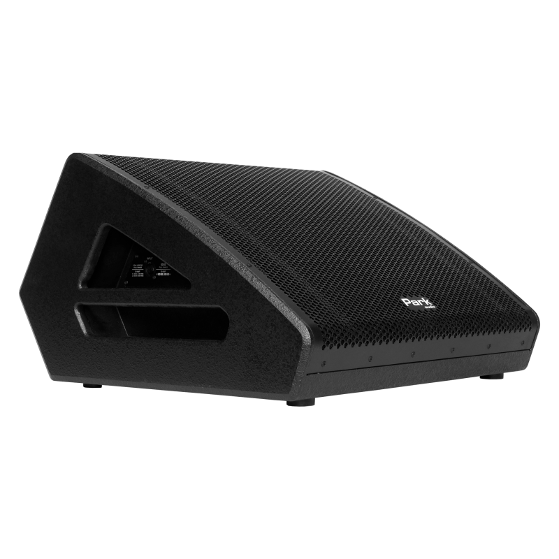 PARK AUDIO CSM154 Акустическая система монитор