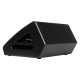 PARK AUDIO CSM154 Акустическая система монитор