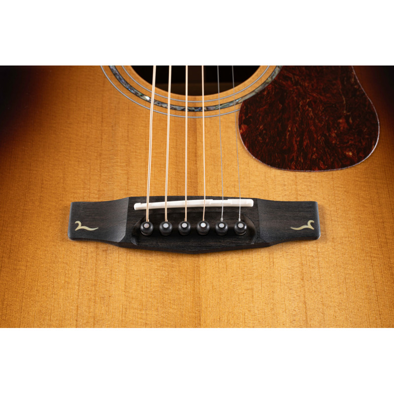 CORT GOLD-D8 LB w/case Акустична гітара