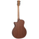 MARTIN 11GPCX2E-01 Акустическая гитара