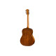 TAYLOR GUITARS AD-17 Акустична гітара