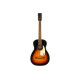 GRETSCH JIM DANDY PARLOR REX BURST Гітара акустична