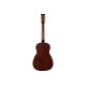 GRETSCH JIM DANDY PARLOR REX BURST Гітара акустична