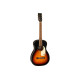 GRETSCH JIM DANDY PARLOR REX BURST Гітара акустична