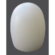 SAT
