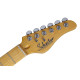 SCHECTER PT STANDARD M/M Электрогитара