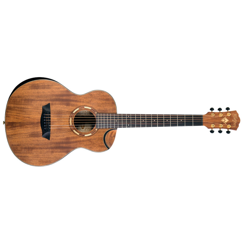 WASHBURN WCGM55K Акустическая гитара