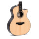 SIGMA GECE-3+ (Fishman Flex Plus) Акустична гітара