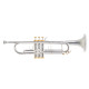 Труба Roy Benson Charli Green Signature Bb-Trumpet