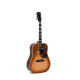 SIGMA SG Series DM-SG5 (Fishman Sonitone) Акустична гітара