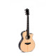 SIGMA GECE-3+ (Fishman Flex Plus) Акустична гітара
