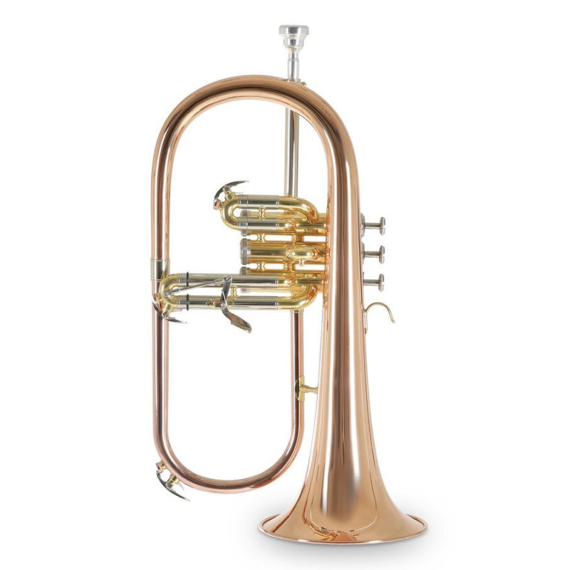 Флюгельгорн Roy Benson FH-302G Bb-Flugelhorn